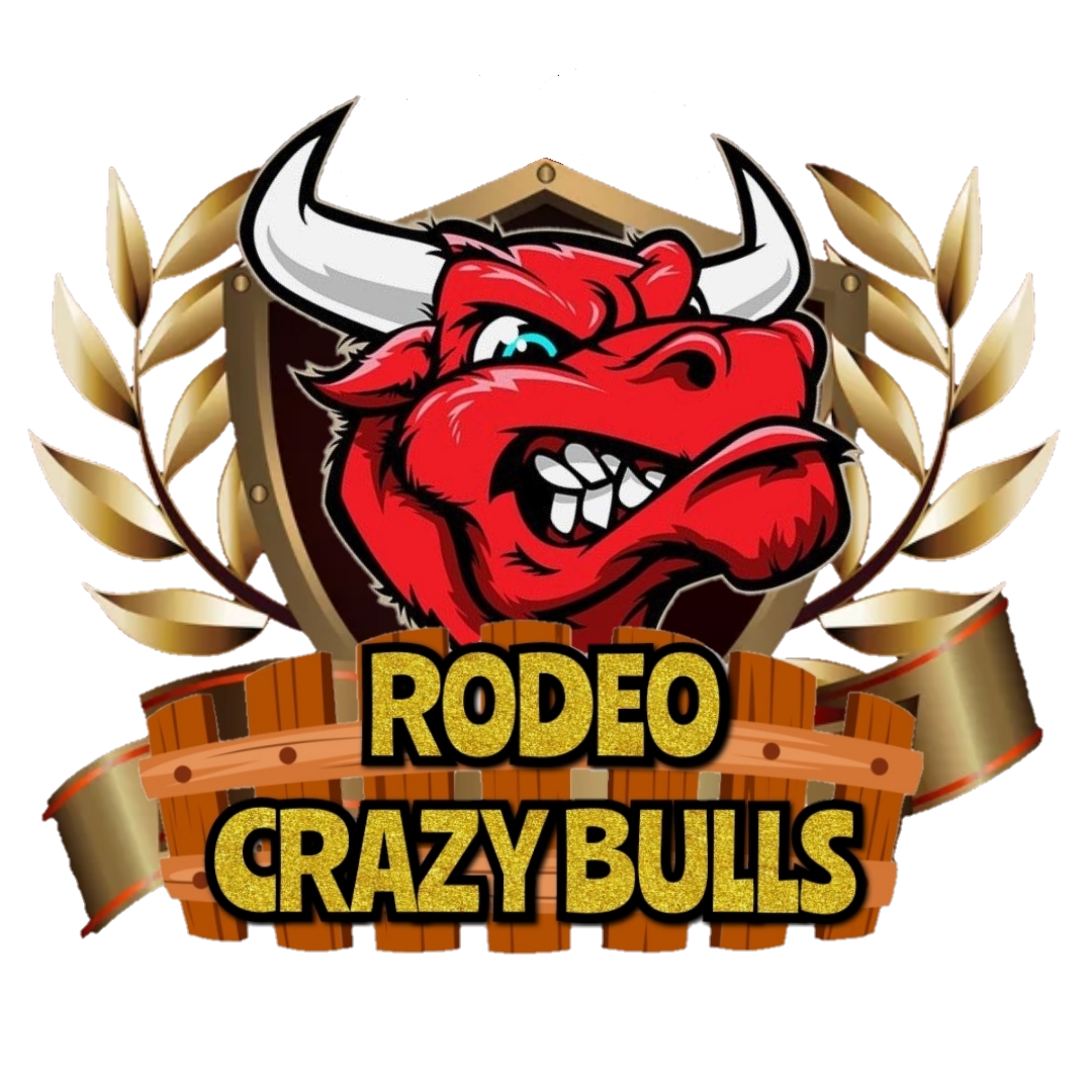 Rodeo Crazy Bulls